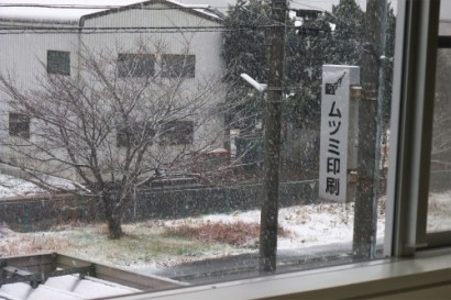和歌山にしては大雪